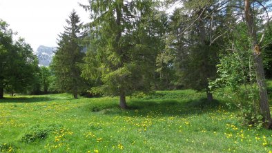 Blick Richtung Golfplatz