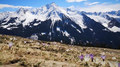 Ahornspitze