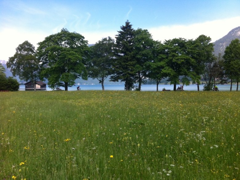 Am Achensee