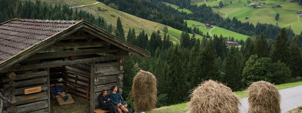 Wandern in der Wildschönau, © Tirol Werbung/Alexander Ziegler