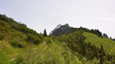 Bergmähderweg Brandberg bis zum Kolmhaus, © Hochgebirgs-Naturpark Zillertaler Alpen