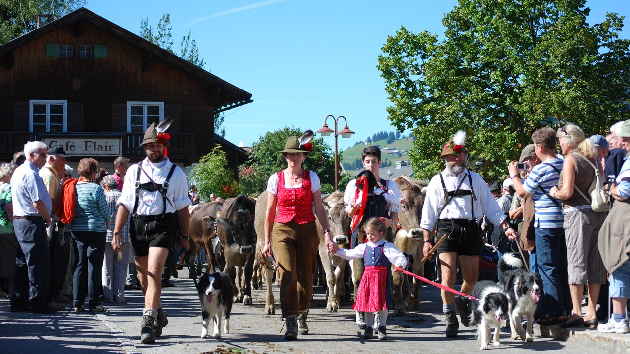 Almabtrieb Tannheim, © TVB Tannheimer Tal