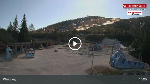Webcam Triassic Park
