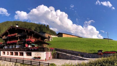 Top_Bergwald_Alpbach (2048x863) (2)