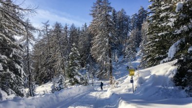 Winterwandern-Obernberg-Leite (3)-2