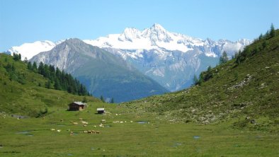 Ganzer Huben Osttirol Ochsenalm