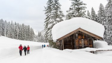 Unterwegs im winterlichen Wildmoos, © Region Seefeld / Johannes Geyer