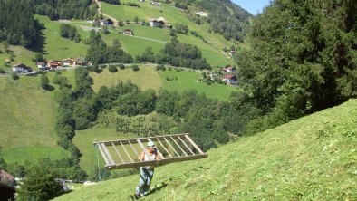 die Heuernte auf unseren steilen Feldern beginnt