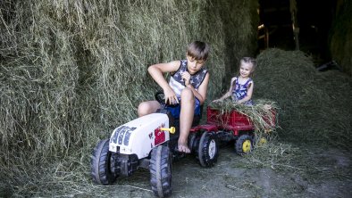 Bauernhof Großwolfing Ebbs - Kinder Traktor