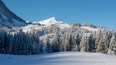 Winterlandschaft © Petra Astner (1)