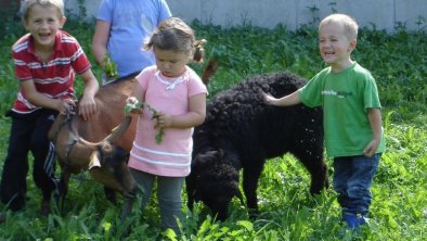 Larchergut Mayrhofen - Sommer 2