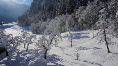 Ausblick Wald Winter