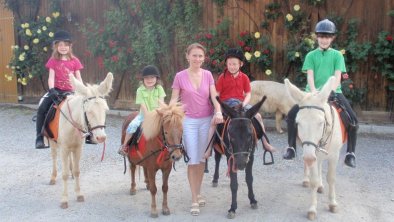 Reiten mit Esel und Pony, © Wirtshaus Nattererboden