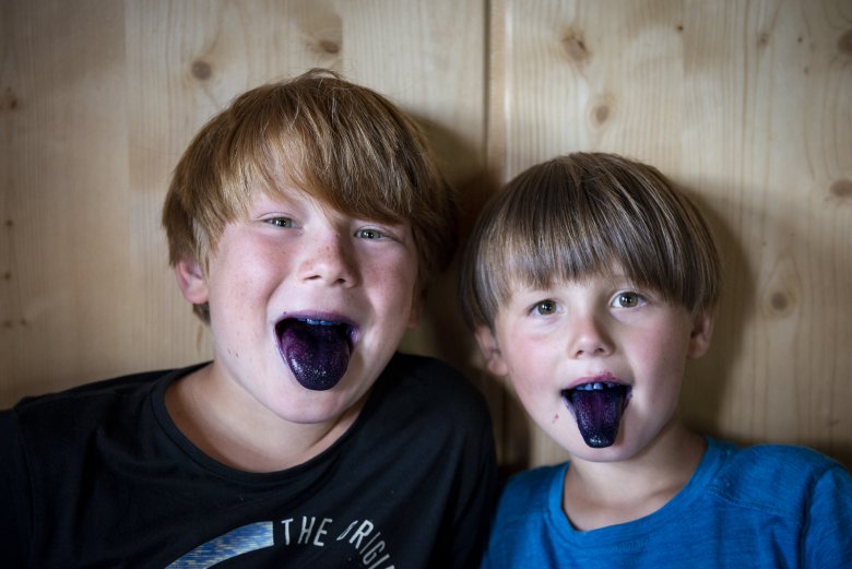Gustav und Quirin mit blauen Zungen nach dem Blaubeerenessen.