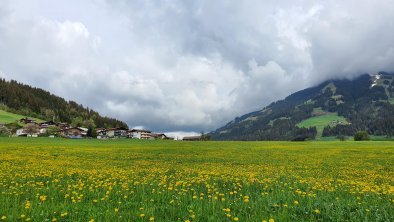 Blick zu unserem Haus