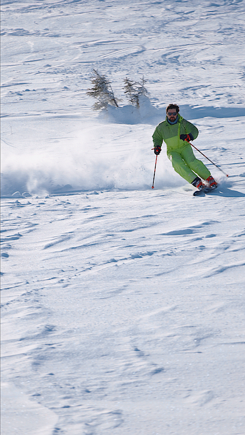 Skityp-Skilehrer