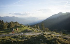 Wanderung zur Buchacker Alm, © Tirol Werbung/Jens Schwarz