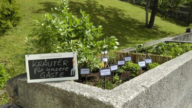 Kräutergarten für unsere Gäste
