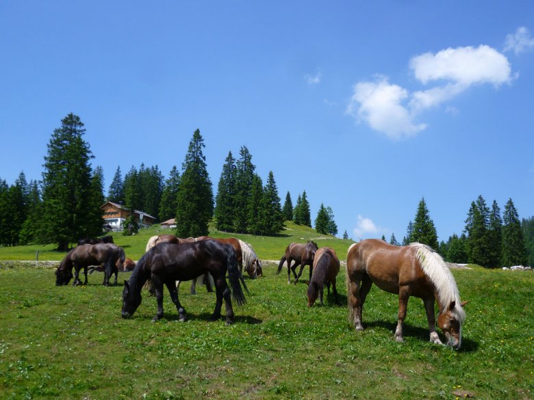 Gufferthütte