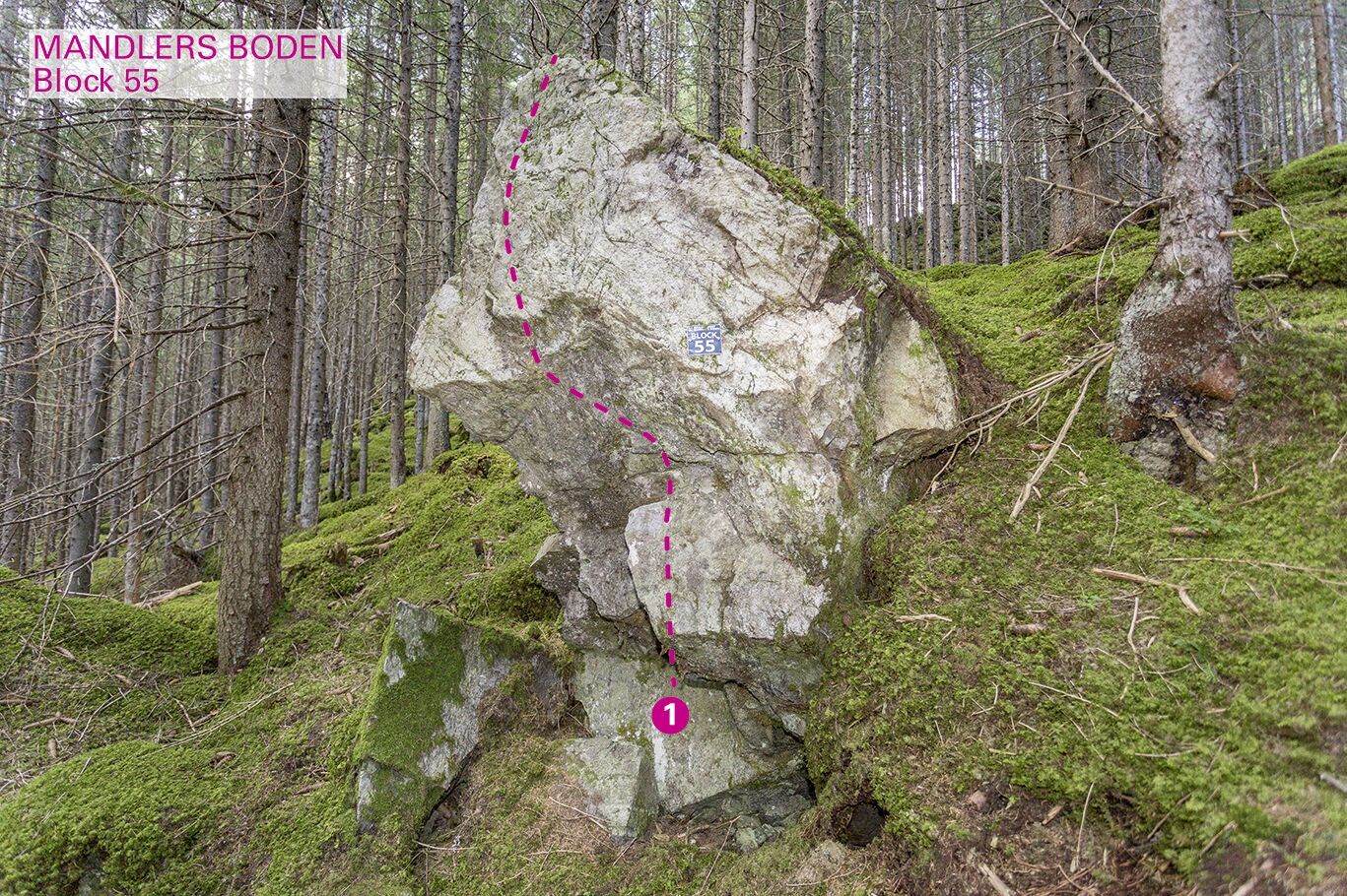 Topographie