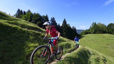 Kitzbüheler Alpen-Rundtour: Möslalm, © Norbert Eisele-Hein