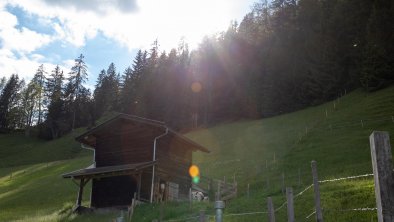 Tradlhof/Thierbach/Wildschönau/Tirol