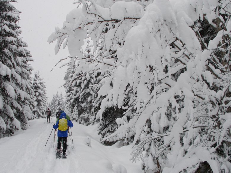 Schneeschuhwandern bei Hochfilzen im Pillerseetal. (Foto: Tirol Werbung)