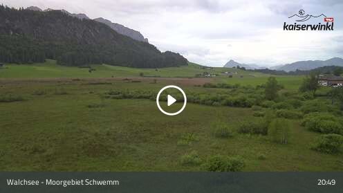 Webcam Moorgebiet Schwemm