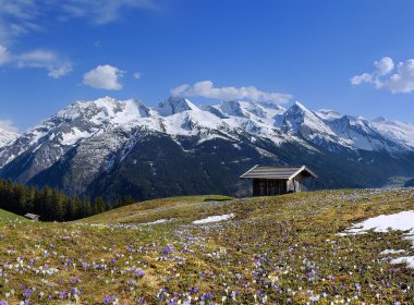 Frühling in Tirol