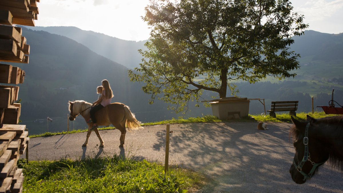 Am Hof gibt es Pferde, die gern geritten werden dürfen – einfach fragen., © Tirol Werbung/Lisa Hörterer