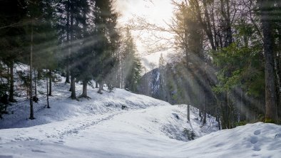 Winterwandern Riedenberg, © buchauer.tirol