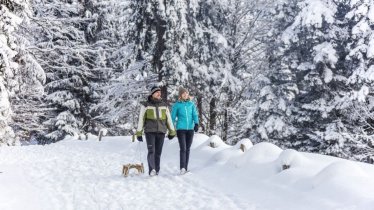 Rodeln im Pillerseetal, © De Francesco