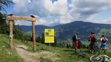 Der Gaisberg Trail in Kirchberg, © Tirol Werbung/Nicole Pfeifer