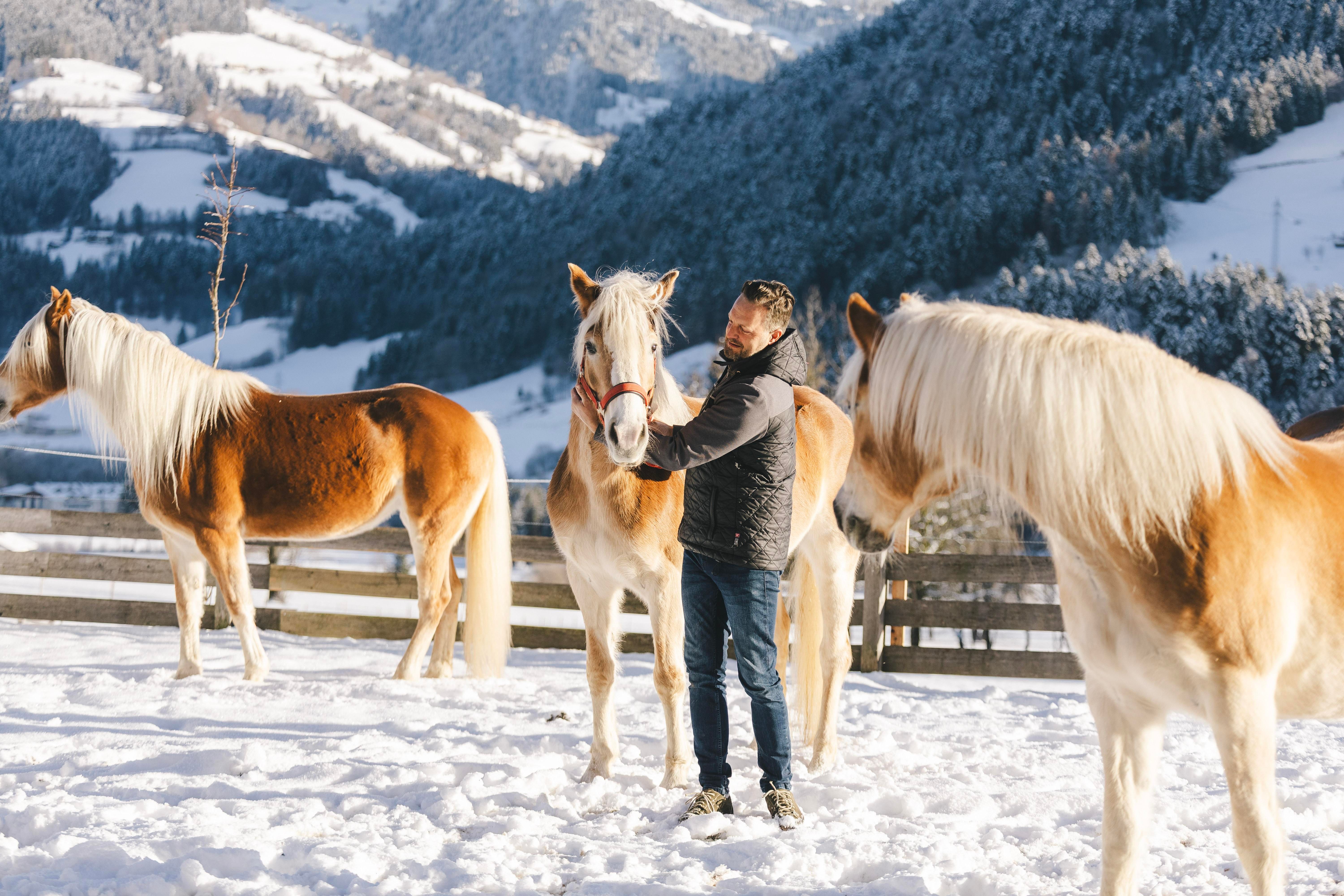 Ein Mann steht im Schnee und streichelt ein Pferd. Im Hintergrund sind weitere Pferde und eine verschneite Berglandschaft zu sehen.
