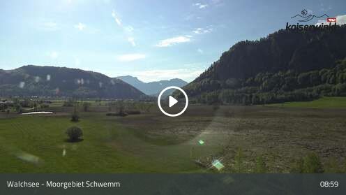 Webcam Moorgebiet Schwemm