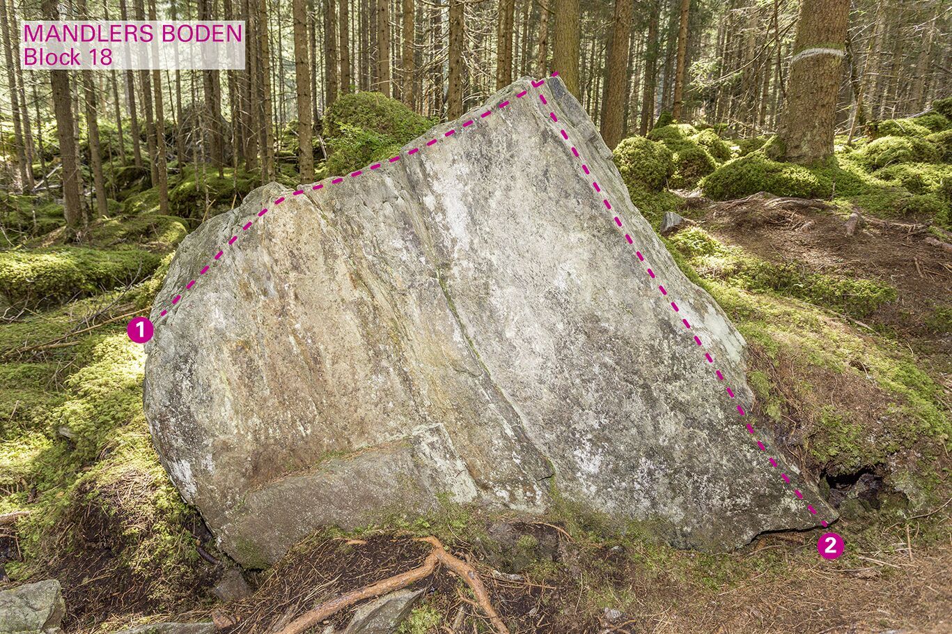 Topographie
