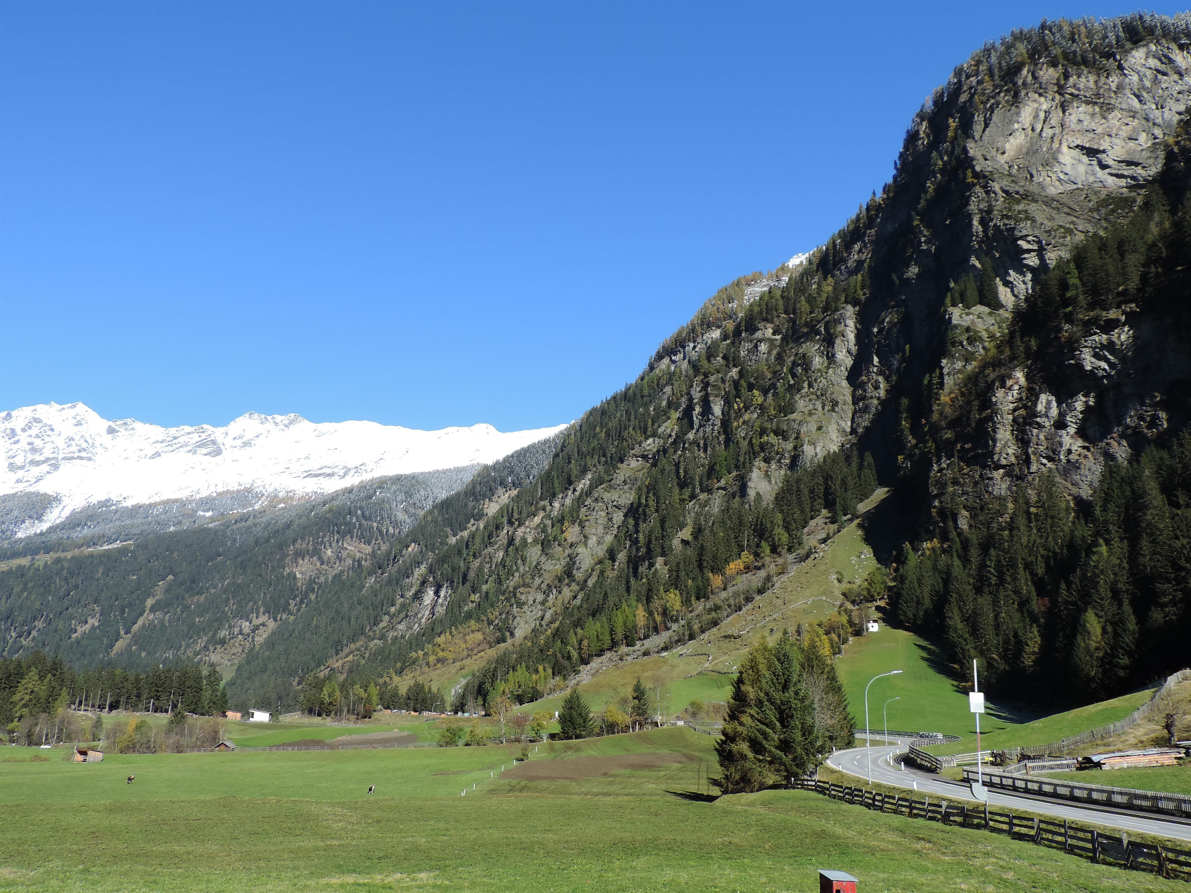 Aussicht Haus Renate im Sommer