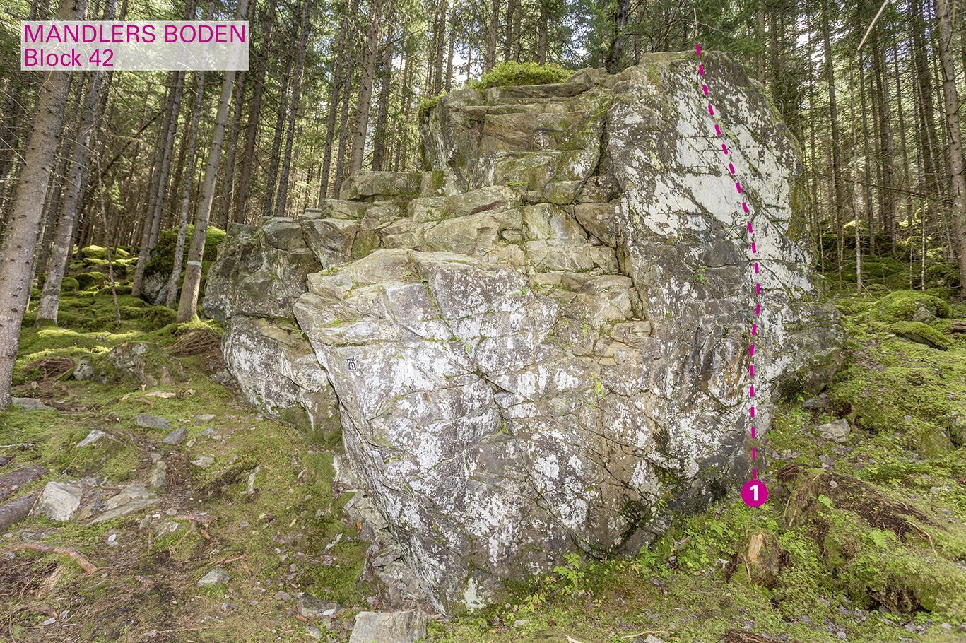 Topographie