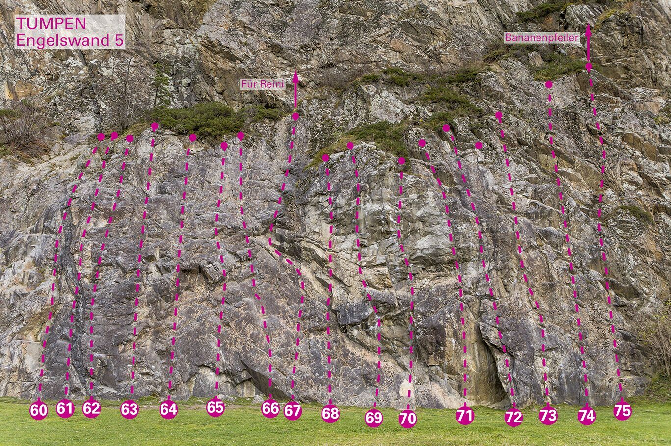 Topographie