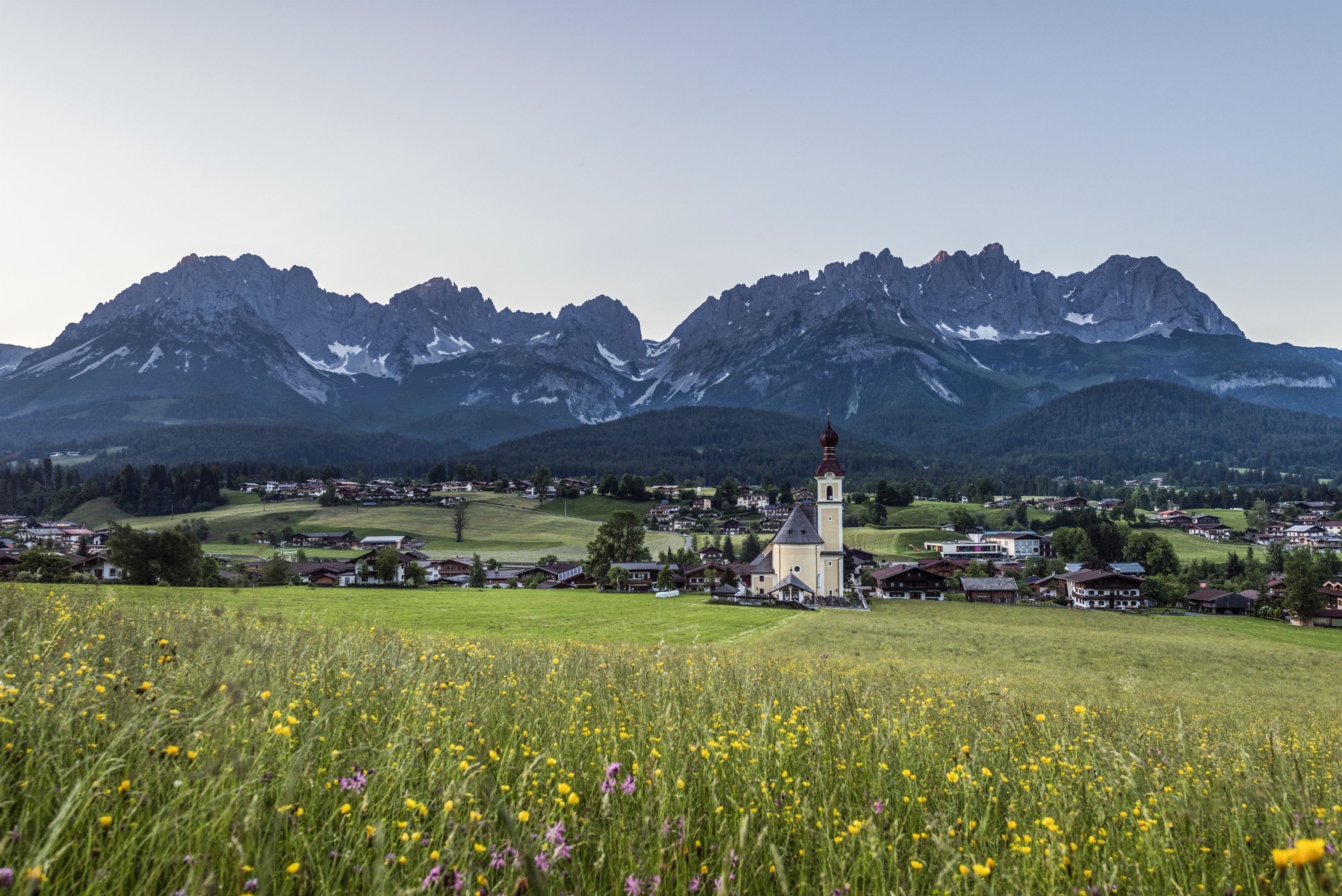 Ort Going vor dem Wilden Kaiser mit sommerlicher Blumenwiese