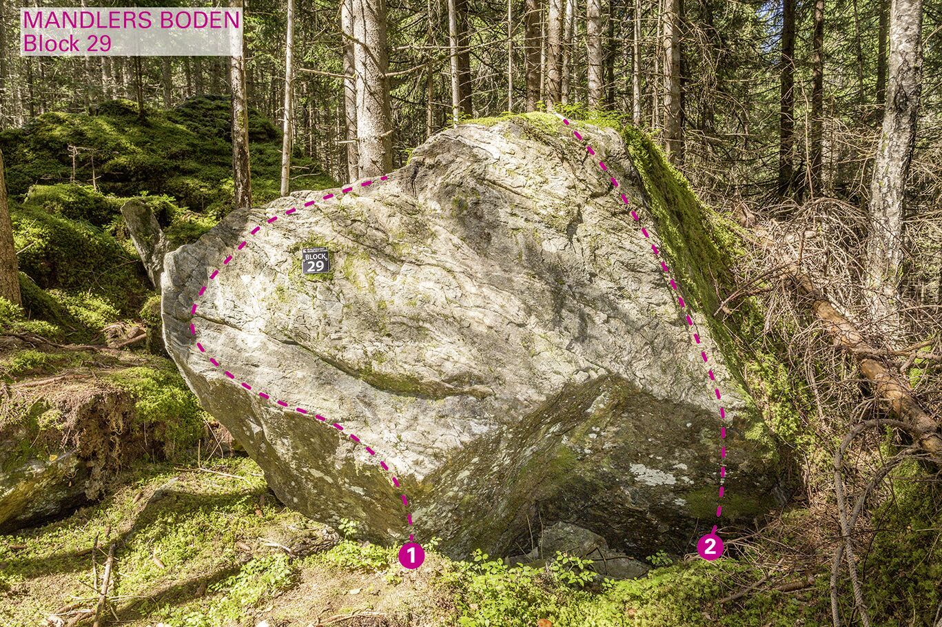 Topographie