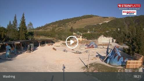Webcam Triassic Park