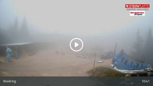 Webcam Triassic Park