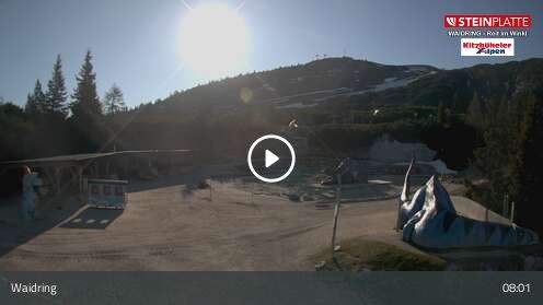 Webcam Triassic Park