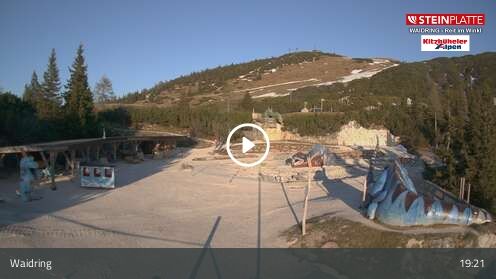 Webcam Triassic Park