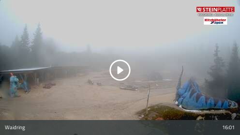 Webcam Triassic Park