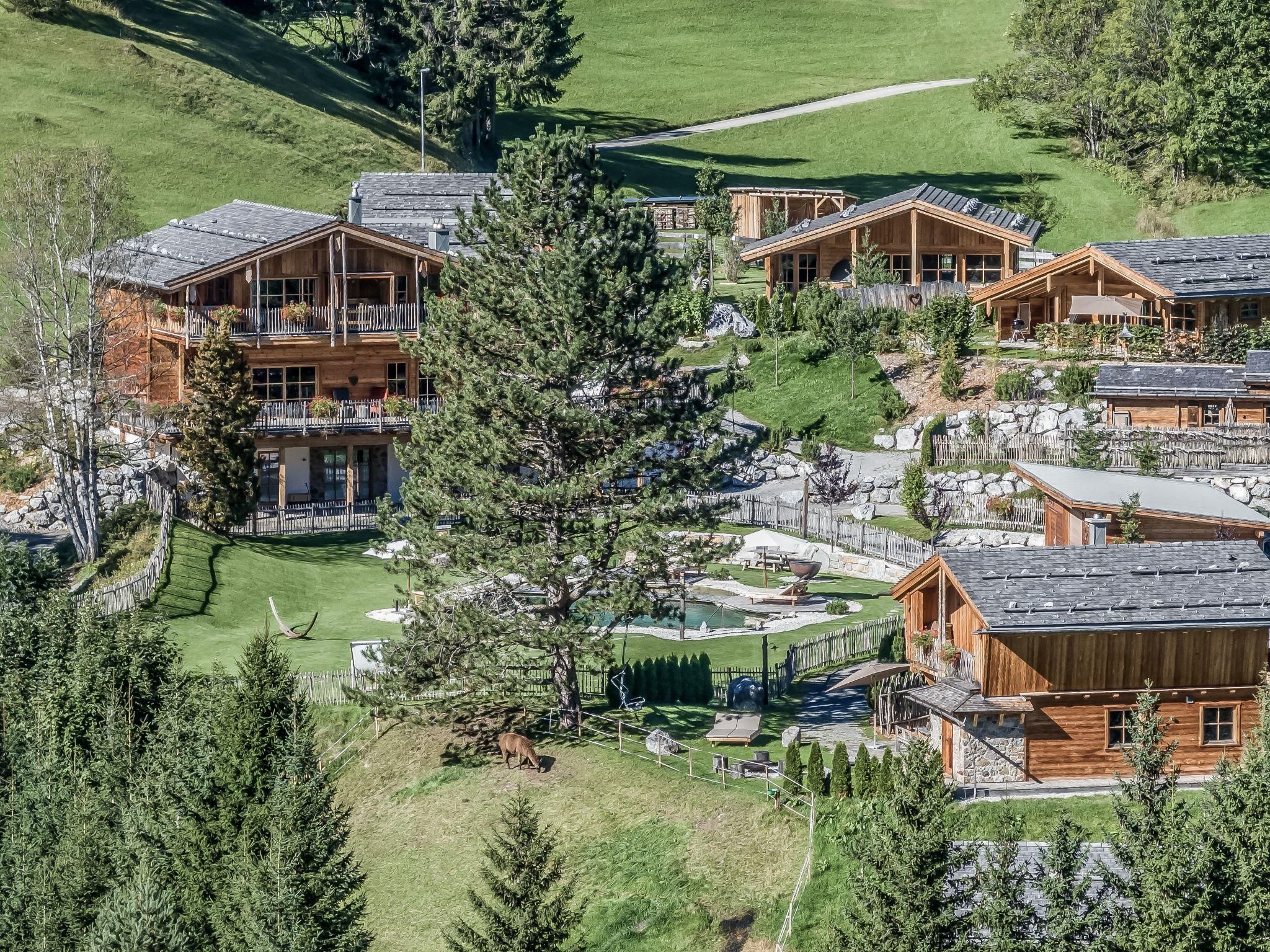Ein malerisches Chalet-Dorf umgeben von grünen Hügeln und Bäumen. Die modernen Chalets bieten eine ruhige und entspannende Atmosphäre.