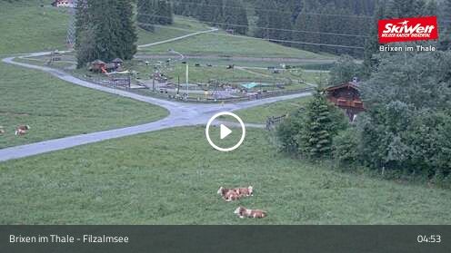 Webcam Filzalmsee