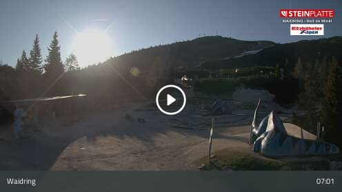 Webcam Triassic Park