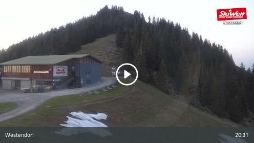 Webcam Talkaser
